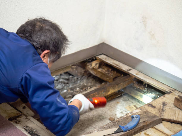 Crawl Space Mold Removal in Leawood, KS